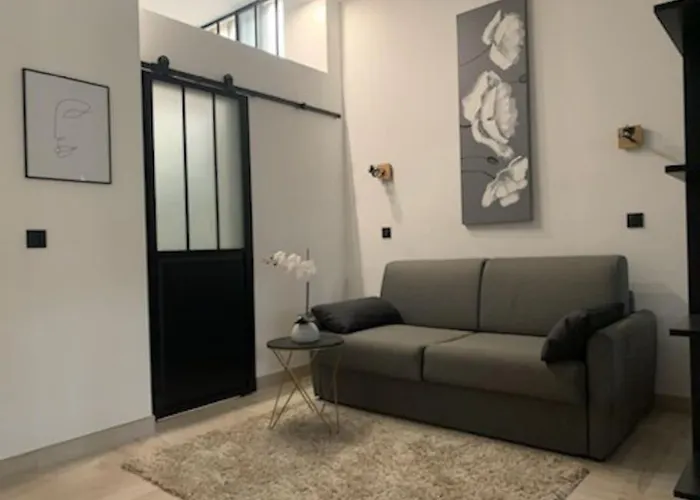 Studio Loft 40M2 De Charme