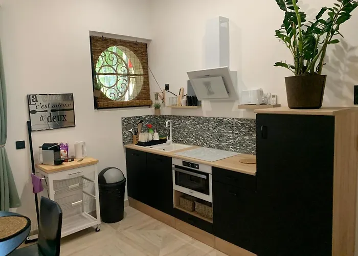 Studio Loft 40M2 De Charme