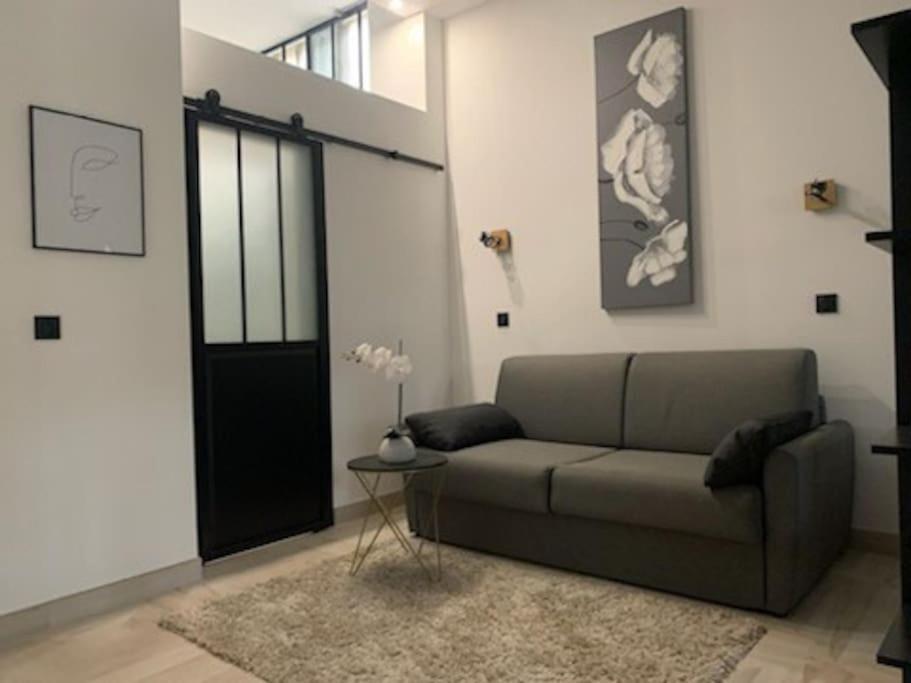 Loft 40m2 De Charme Apartment *