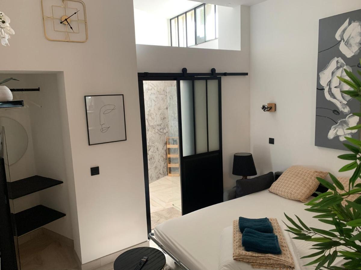 Loft 40m2 De Charme * Perpignan